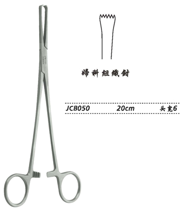 金鐘組織鉗普通 JCB050 20cm  頭寬6 （婦科）